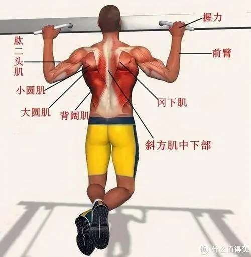 马斯克游戏程序是什么